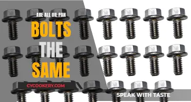 The Oil Pan Conundrum: Are All Bolts Created Equal?