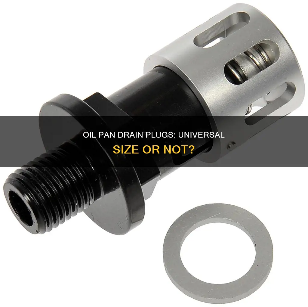 are all oil pan drain plugs the same size