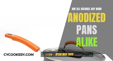 Rachael Ray's Anodized Pan Mystery: Are They All the Same?