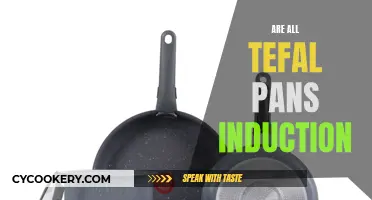 Tefal Pans: Induction-Ready or Not?
