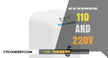Understanding Refrigerator Voltage: Are All Fridges 110V and 220V Compatible?