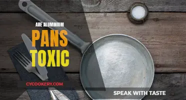 Aluminum Pans: Are They Safe or Toxic?