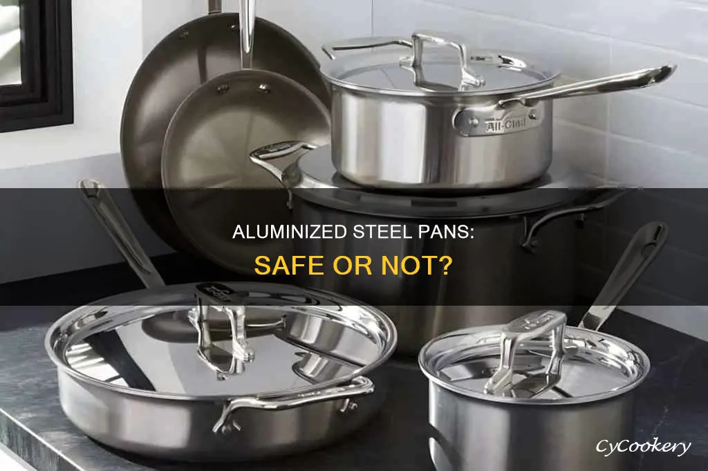 are aluminized steel pans safe