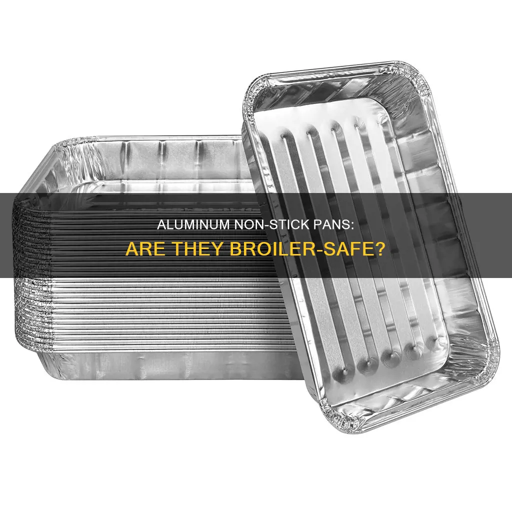 are aluminum non stick pans broiler safe