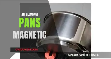 Aluminum Pans: Magnetic or Not?