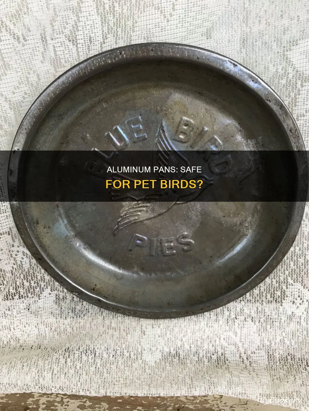 are aluminum pans safe for birds