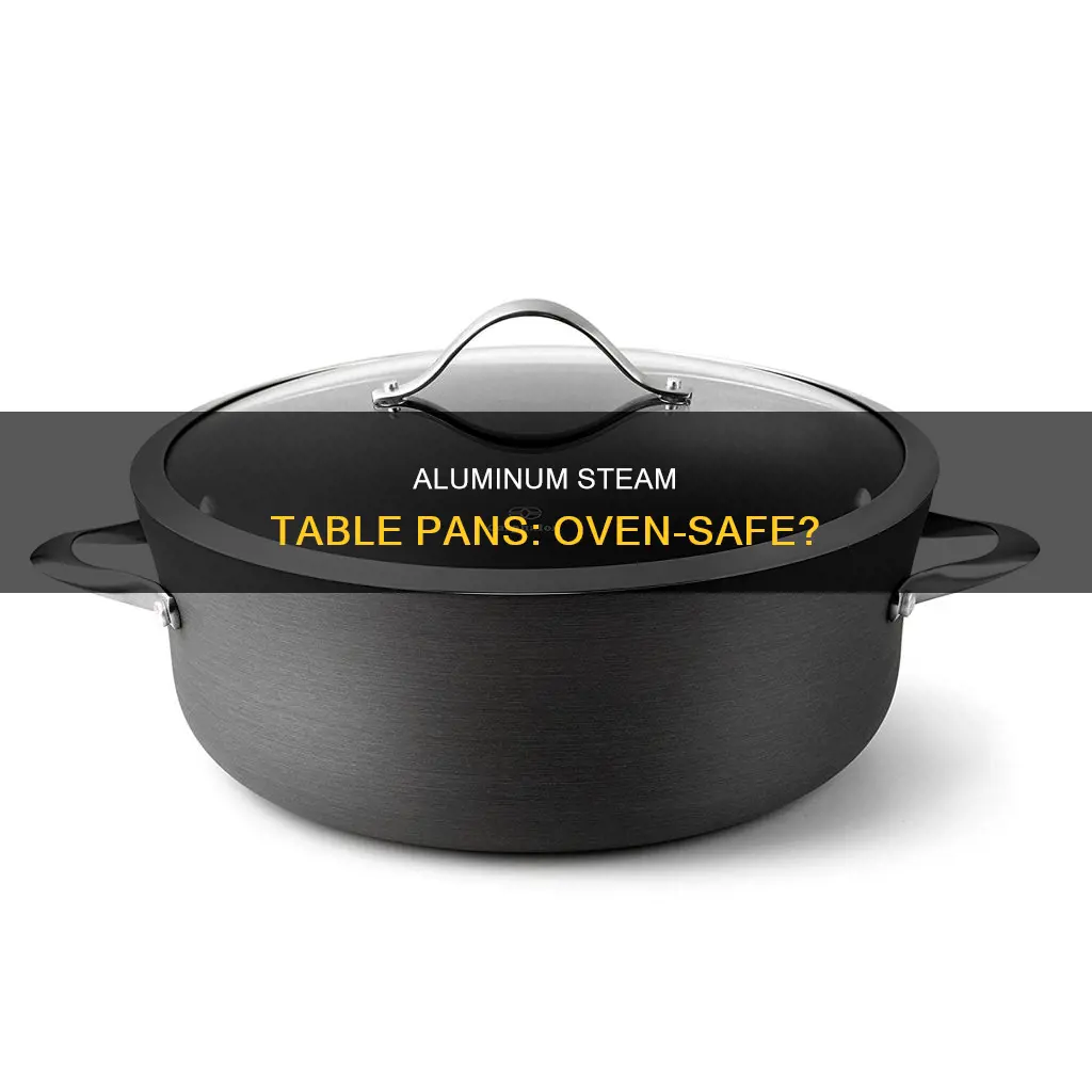 are aluminum steam table pans oven safe