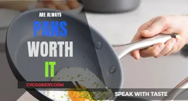 Pans Worth the Hype: Always a Good Choice?