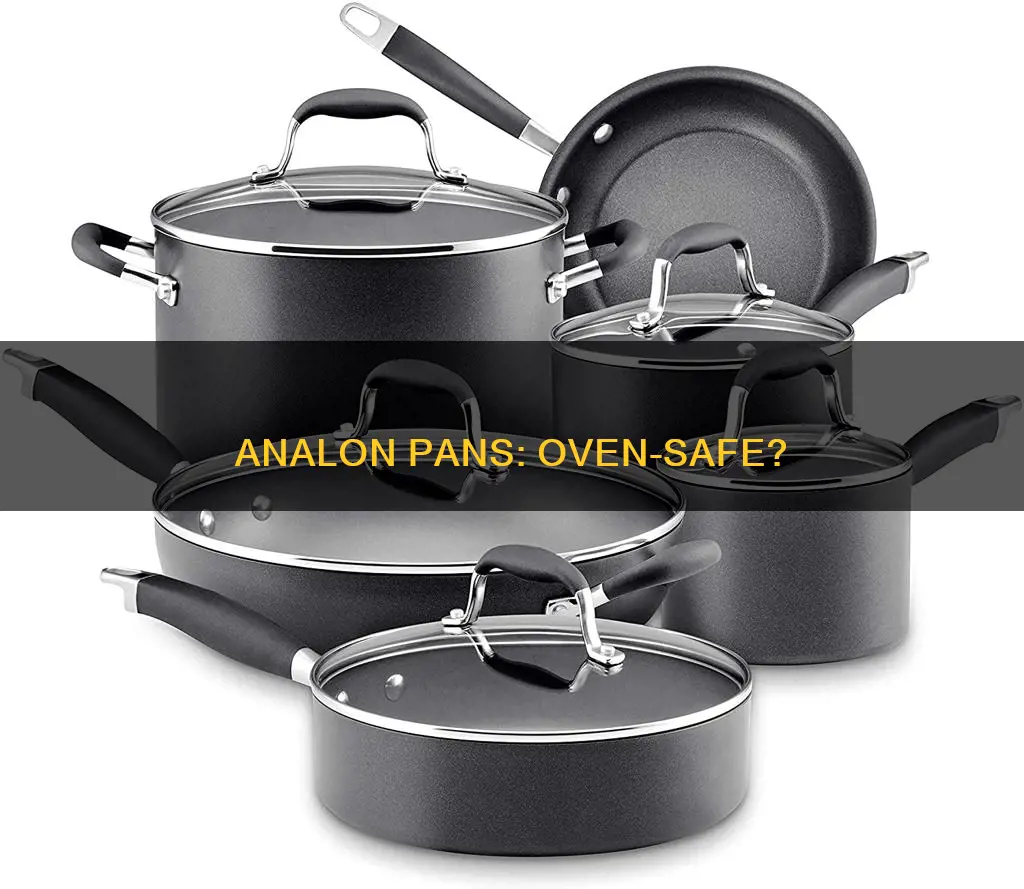 are analon pans oven safe