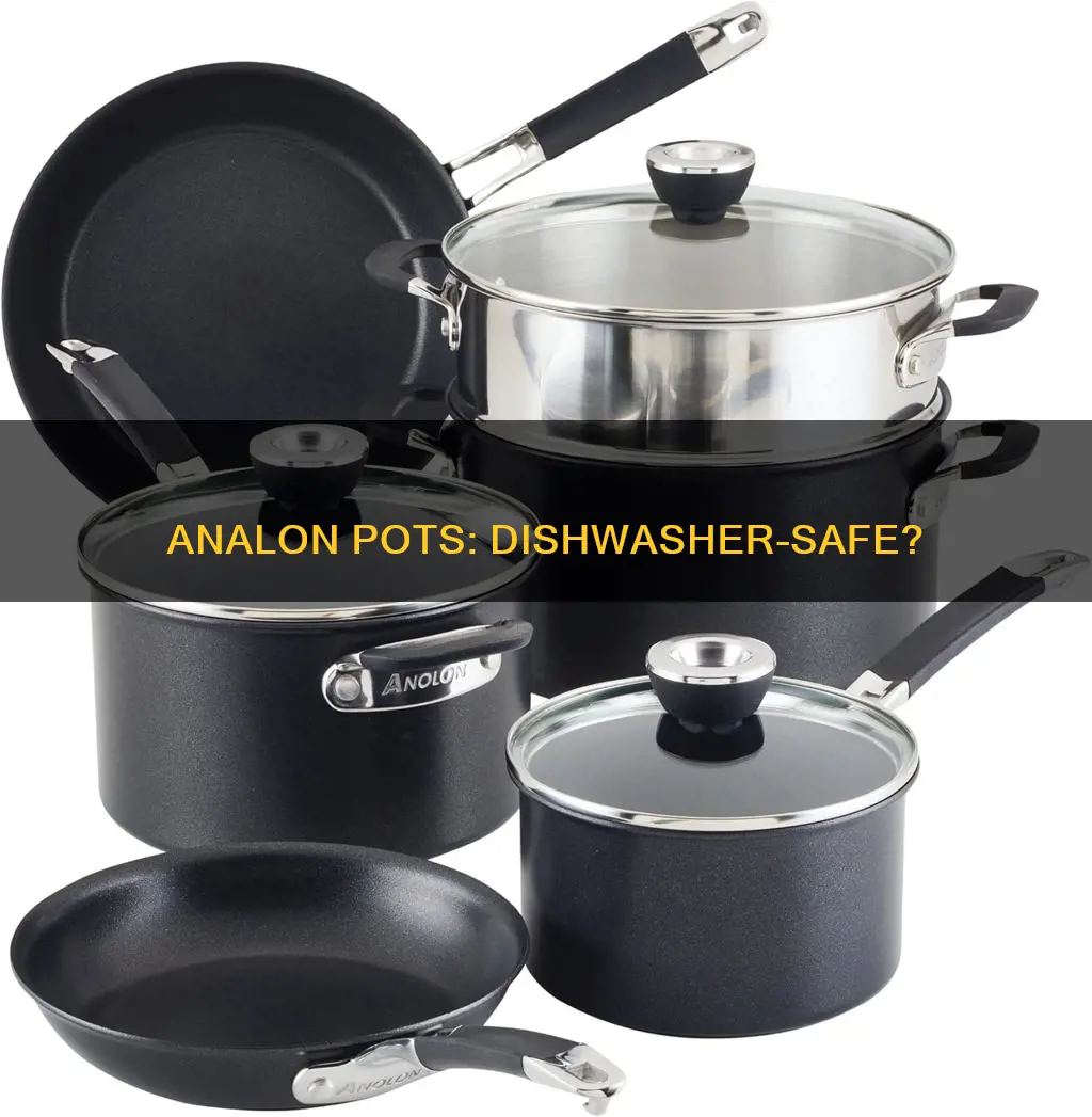 are analon pots & pans dishwasher sagfe