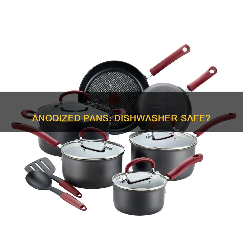 are anodised pans dishwasher safe