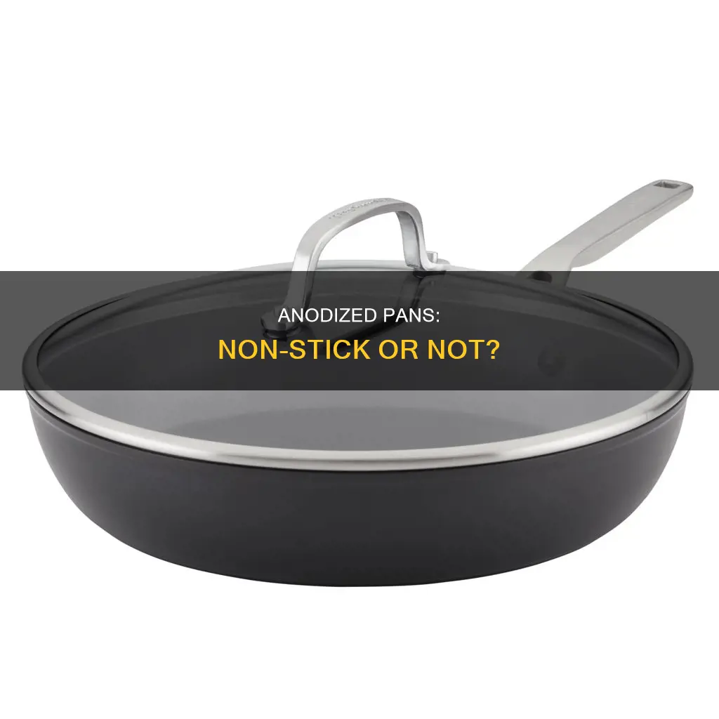 are anodised pans non stick