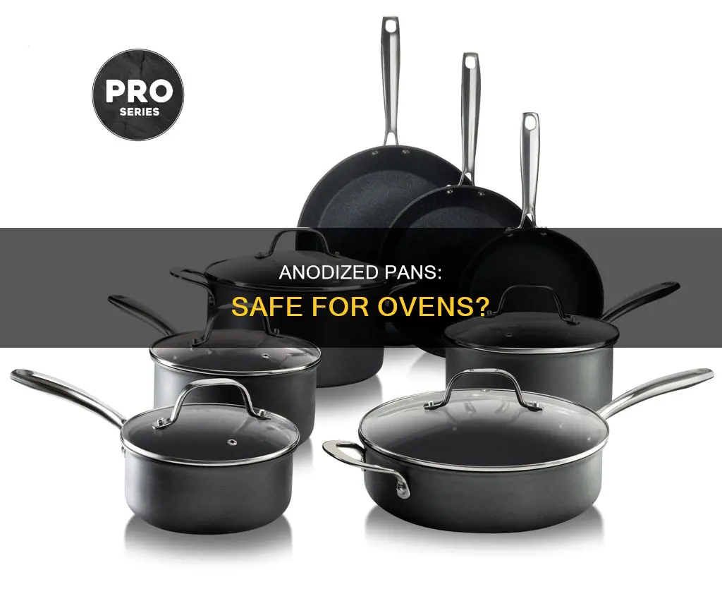 are anodized pans oven safe