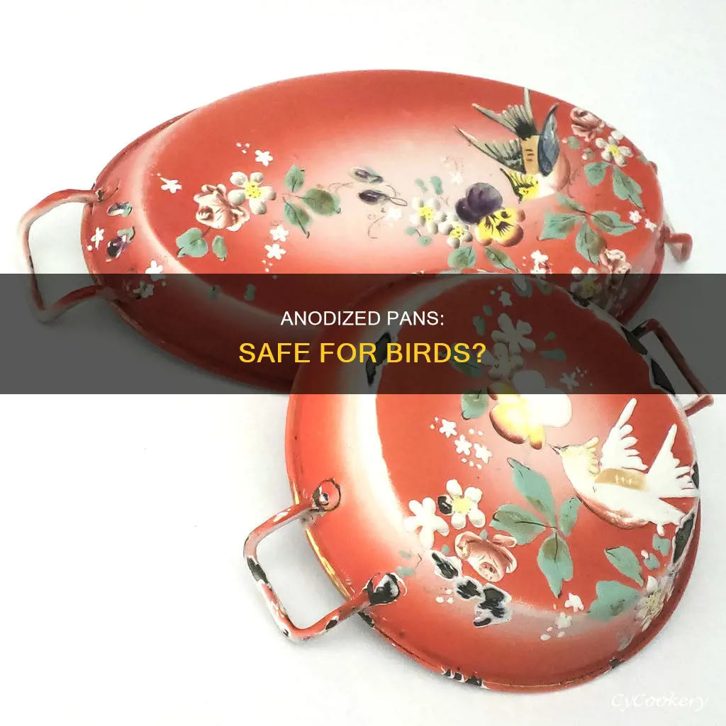 are anodized pans safe for birds