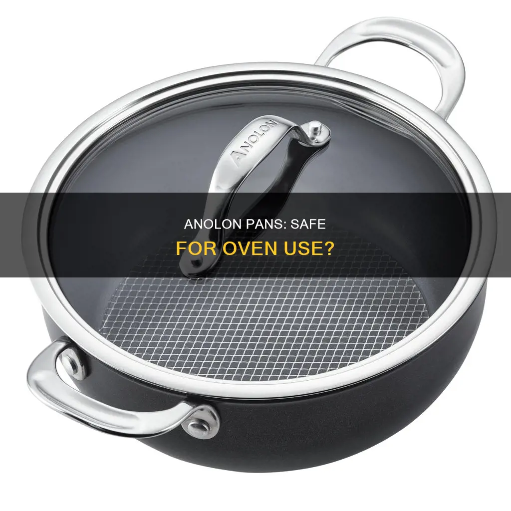 are anolon pans oven safe