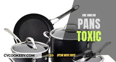 Anolon Pans: Are They Toxic?