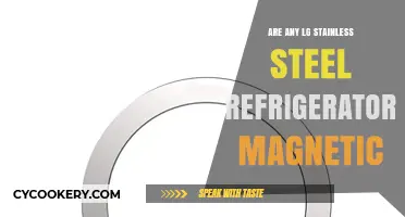 Are LG Stainless Steel Fridges Magnetic? Surprising Facts Revealed