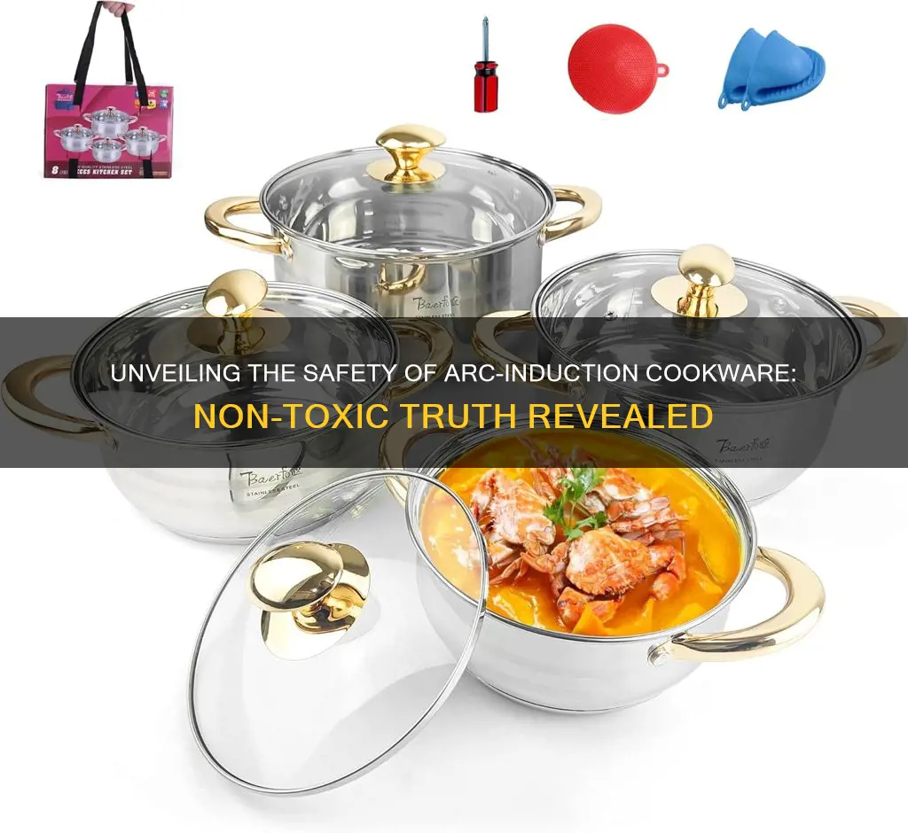 are arco induction pans non toxic