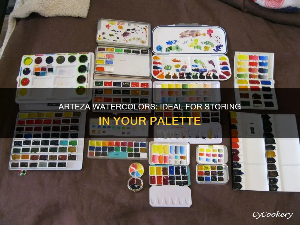 are arteza watercolors good for putting in pans