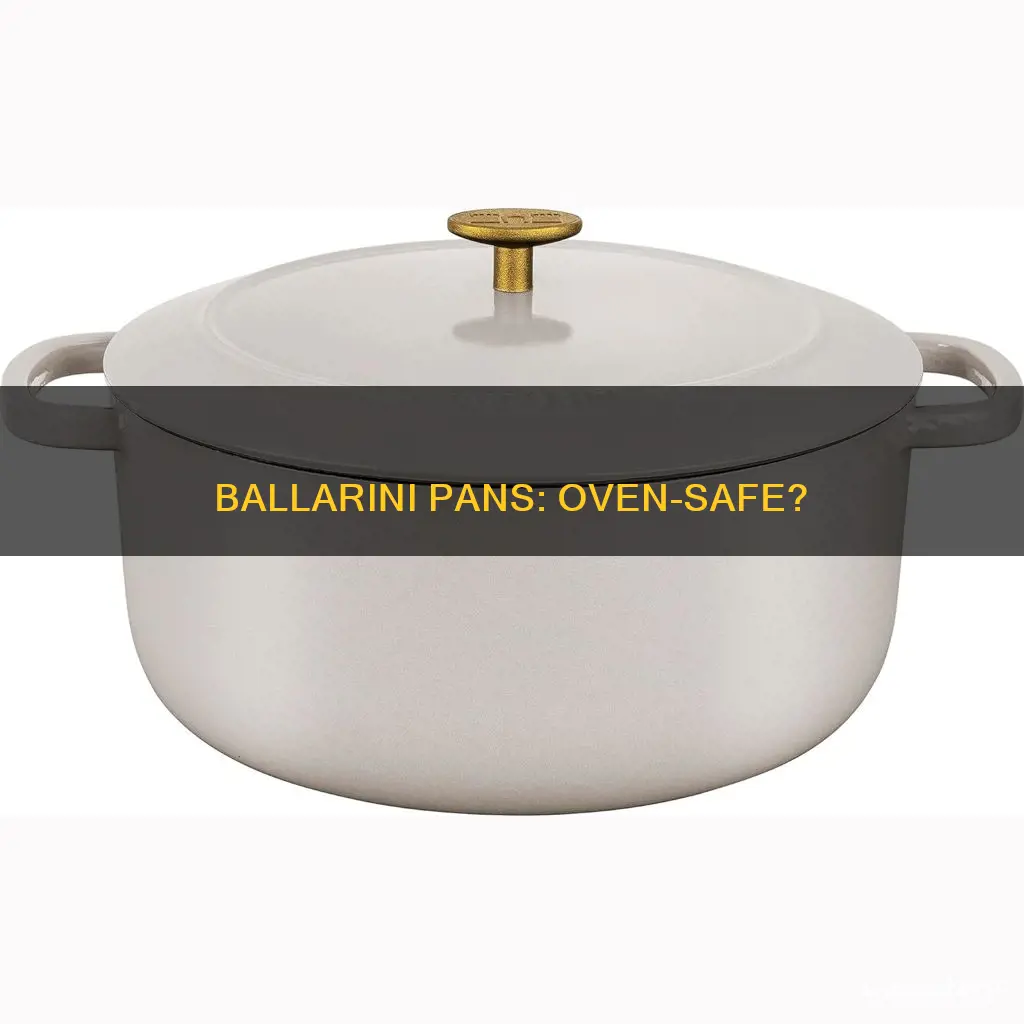 are ballarini pans oven safe