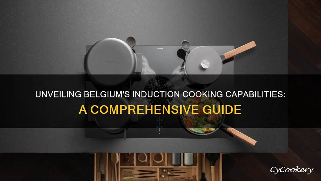 are belgique pans induction capable