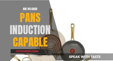 Belgique Pans: Induction-Ready or Not?