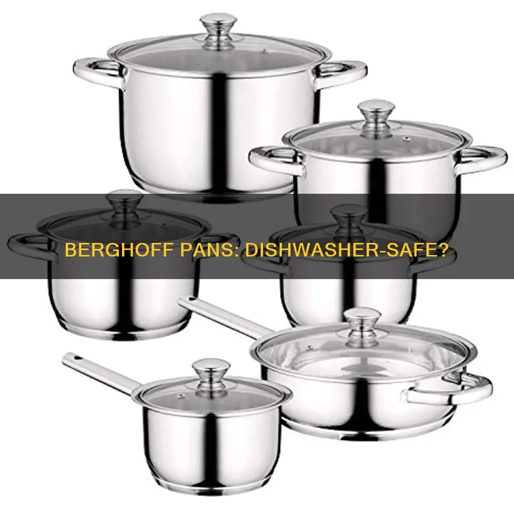 are berghoff pans dishwasher safe