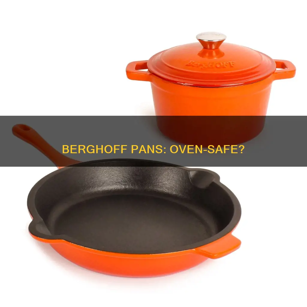 are berghoff pans oven safe