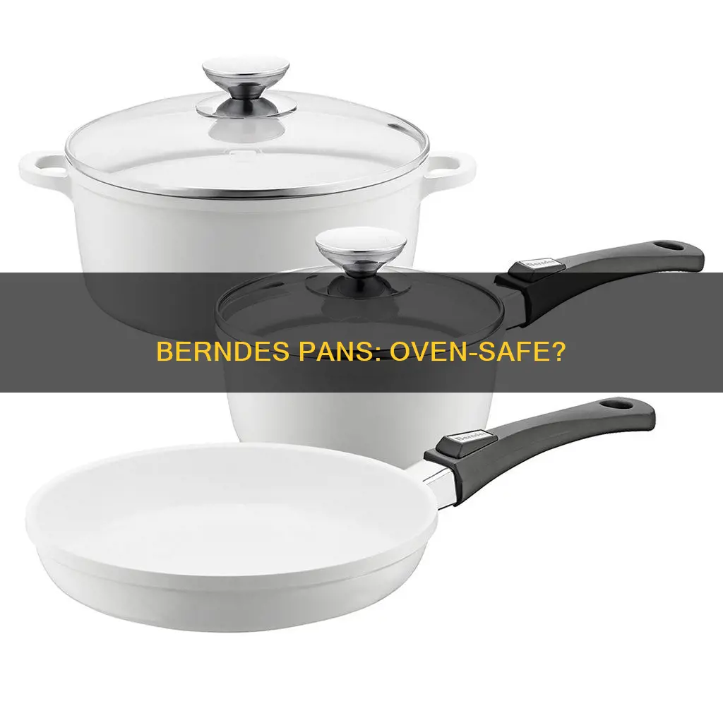 are berndes pans oven safe