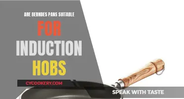 Berndes Pans: Induction Hob Compatibility Explored