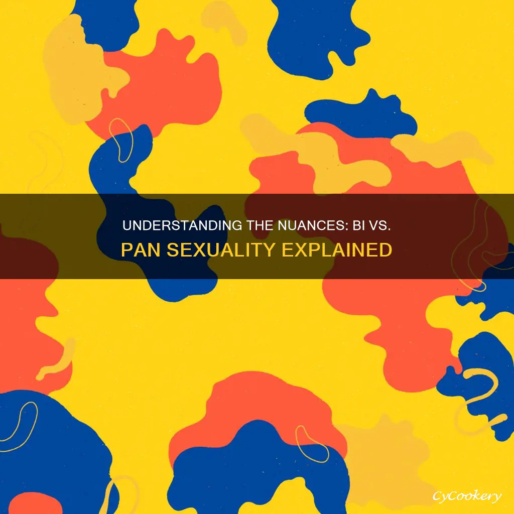 are bi and pan different