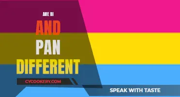 Sexuality Spectrum: Bi vs Pan Explained