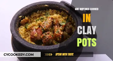 Clay Pot Biryani: Authentic and Delicious