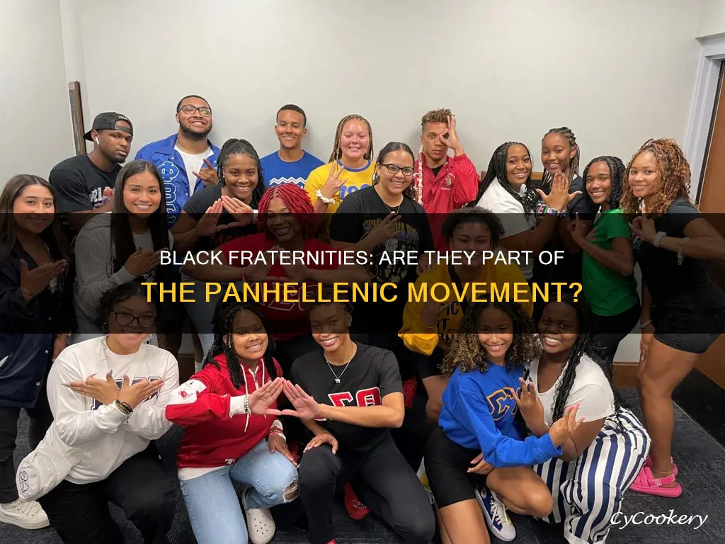 are black fraternities apart of pan hellenic