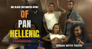 Black Fraternities: Part of Pan-Hellenic?