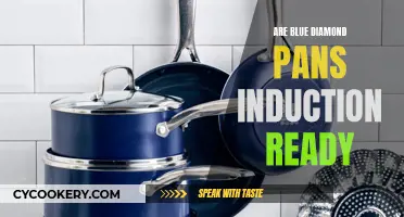 Blue Diamond Pans: Induction Ready or Not?