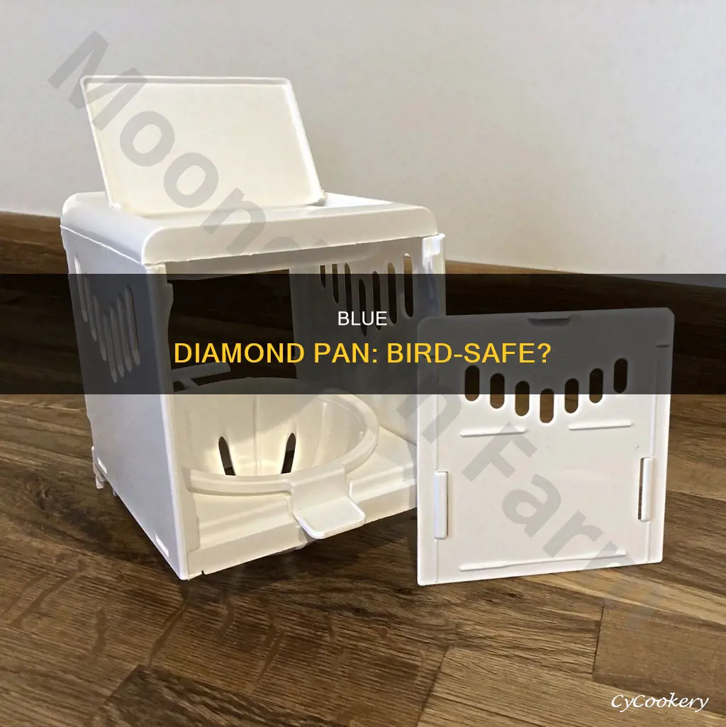 are blue diamond pans safe for birds