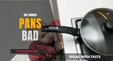 Are Burned Pans Bad? Uncovering the Truth