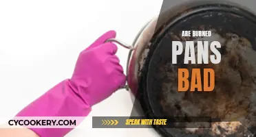 Burnt Pans: Harmful or Harmless?