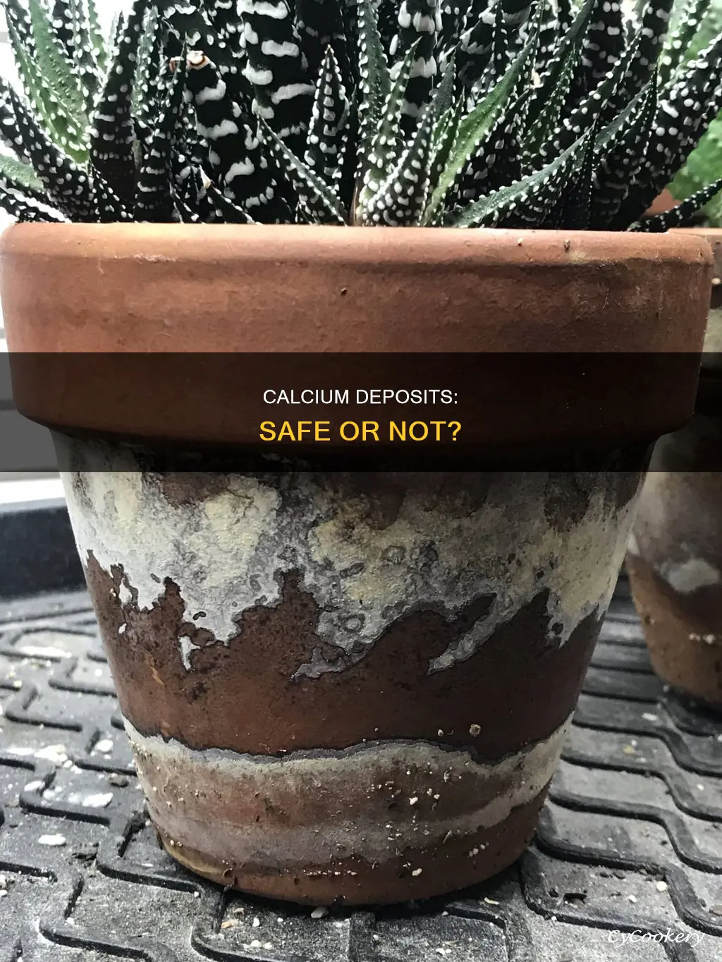 are calcium deposits on your pots and pans safe