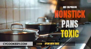 Unveiling the Truth: Are Calphalon Nonstick Pans Safe?