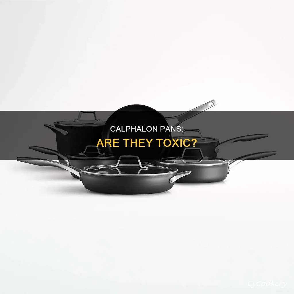 are calphalon pans toxic