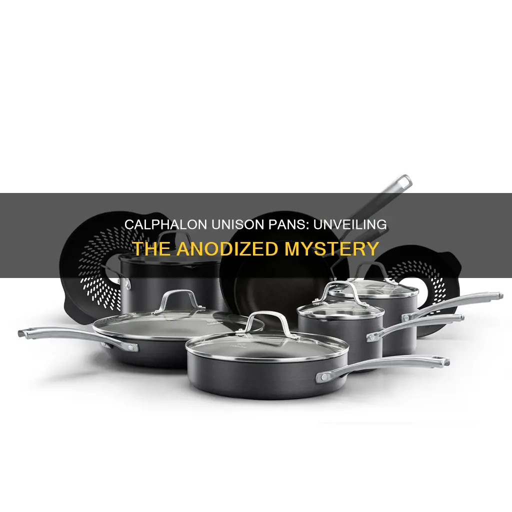 are calphalon unison pans aniodized