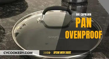 Can Caphloon Pan Be Used in the Oven?