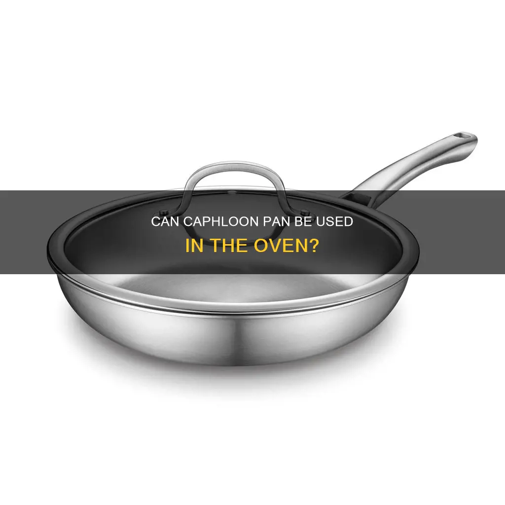 are caphloon pan ovenproof