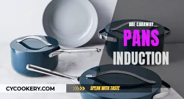Caraway Pans: Induction-Friendly Cookware for Your Kitchen