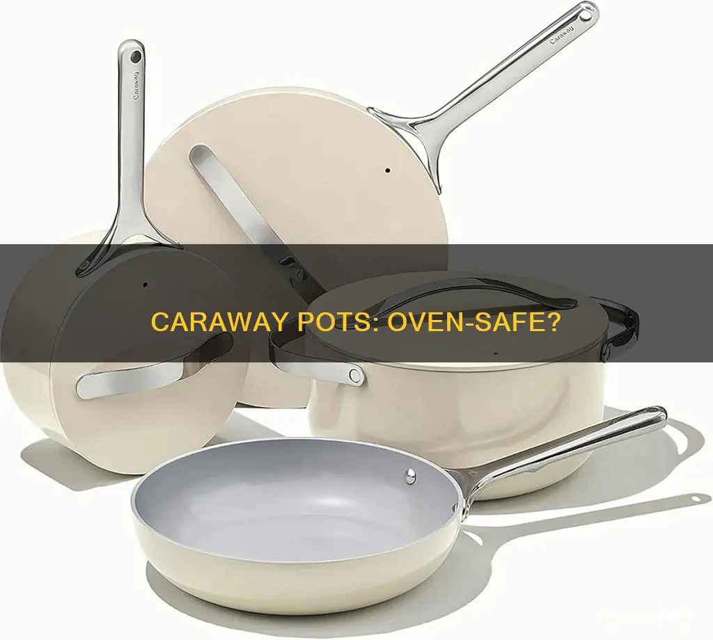 are caraway pots oven safe