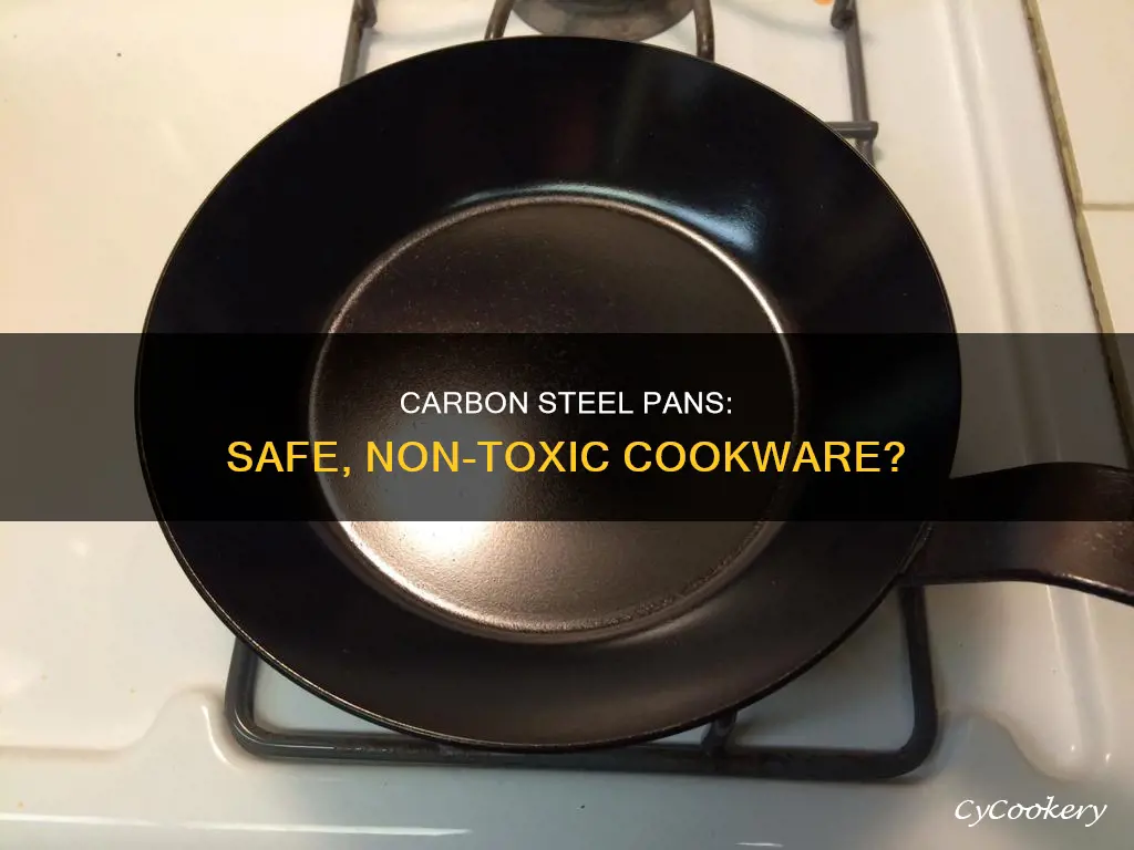 are carbon steel pans non toxic