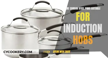 Carbon Steel Pans: Induction-Ready?