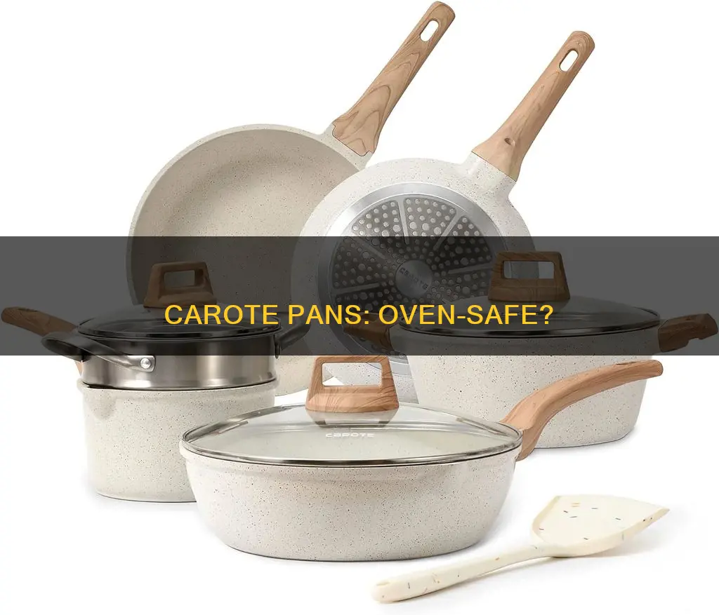 are carote pans oven safe